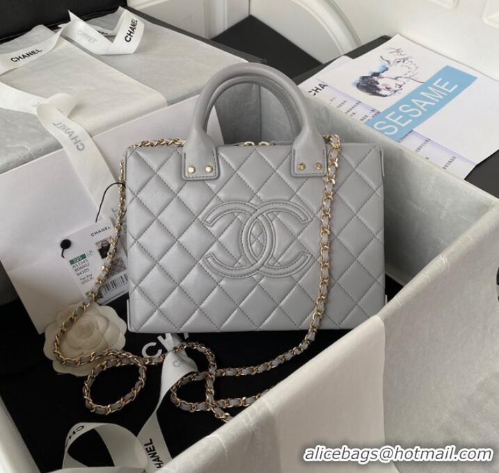 Affordable Price Chanel VANITY CASE AS3345 GRAY