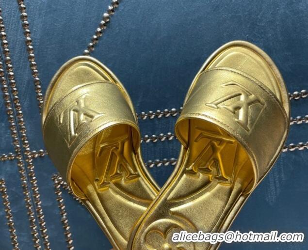 1:1 aaaaa Louis Vuitton Magnetic Flat Slide Sandals with LV Signature Gold 061704