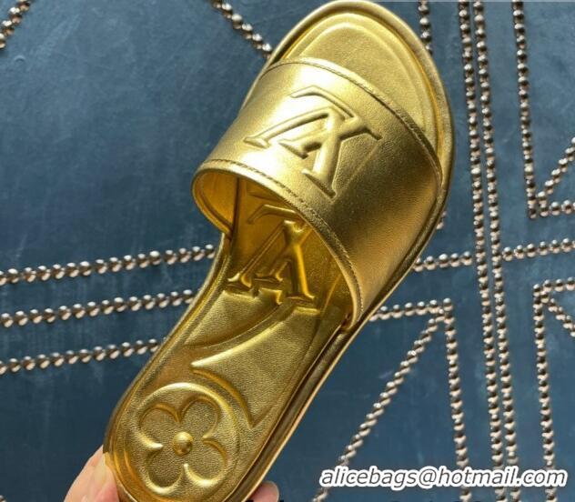 1:1 aaaaa Louis Vuitton Magnetic Flat Slide Sandals with LV Signature Gold 061704