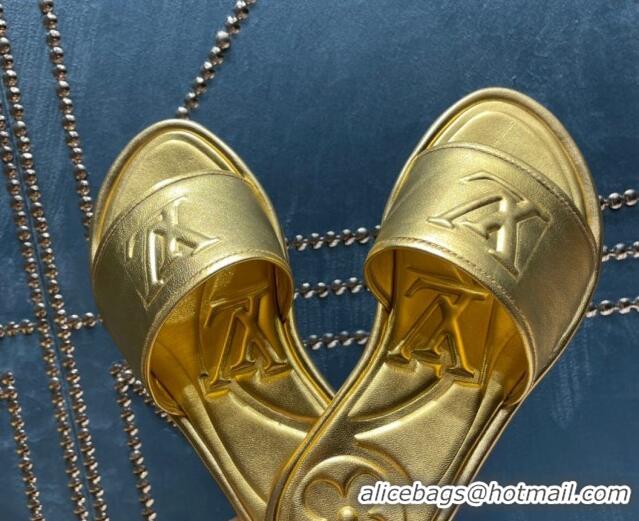 1:1 aaaaa Louis Vuitton Magnetic Flat Slide Sandals with LV Signature Gold 061704