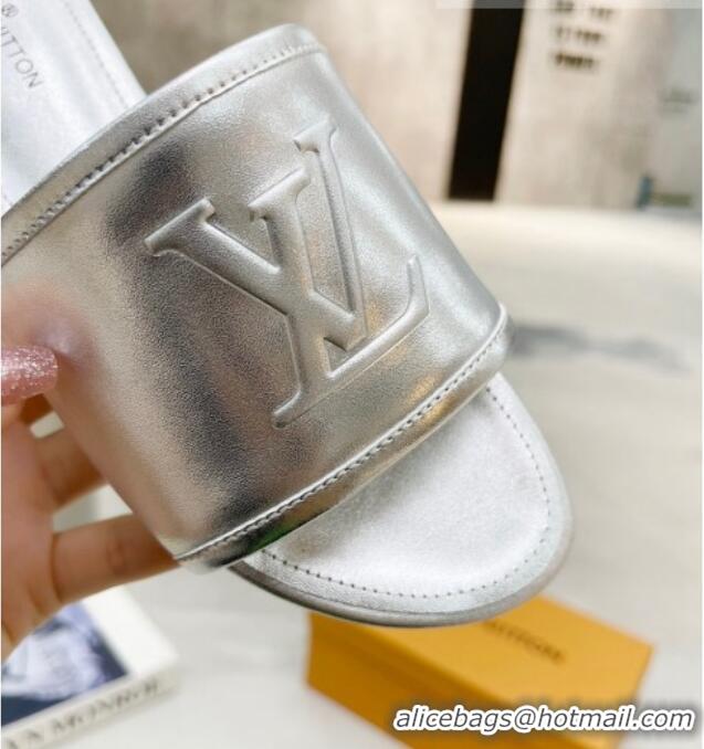 Luxury Louis Vuitton Magnetic LV Flat Slide Sandals Silver 062015