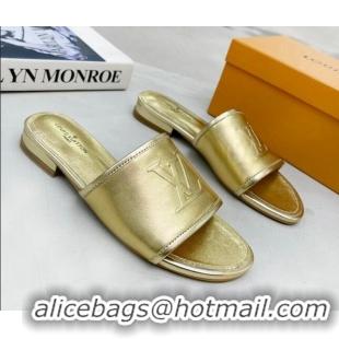 Most Popular Louis Vuitton Magnetic LV Flat Slide Sandals Gold 062016