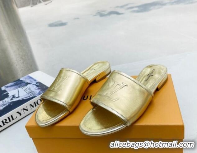 Most Popular Louis Vuitton Magnetic LV Flat Slide Sandals Gold 062016