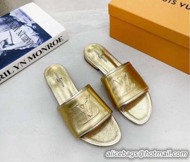 Most Popular Louis Vuitton Magnetic LV Flat Slide Sandals Gold 062016