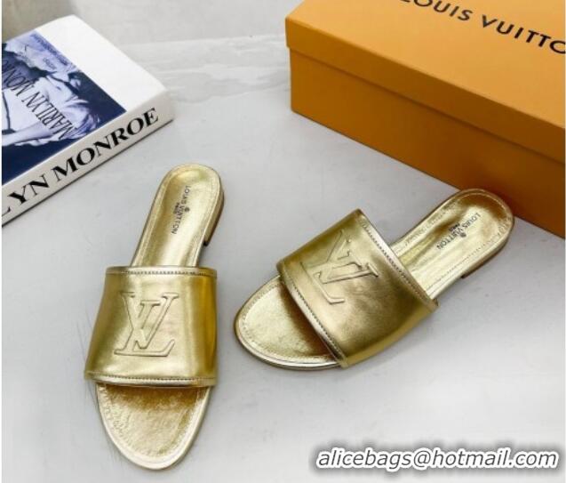 Most Popular Louis Vuitton Magnetic LV Flat Slide Sandals Gold 062016