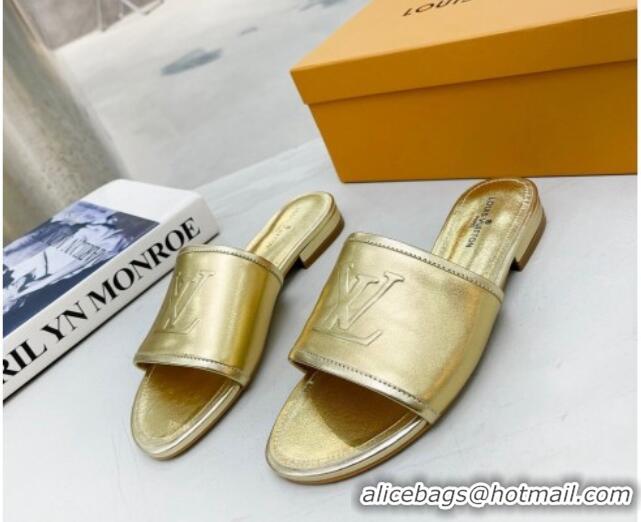 Most Popular Louis Vuitton Magnetic LV Flat Slide Sandals Gold 062016