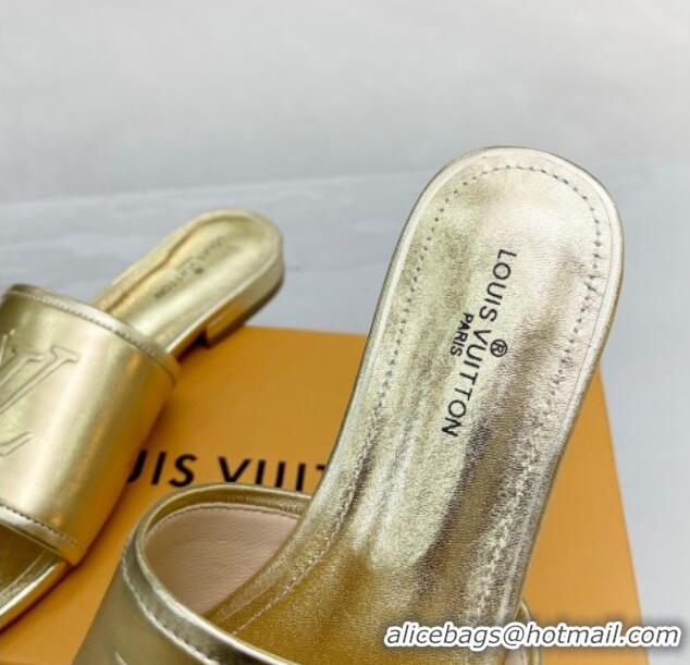 Most Popular Louis Vuitton Magnetic LV Flat Slide Sandals Gold 062016