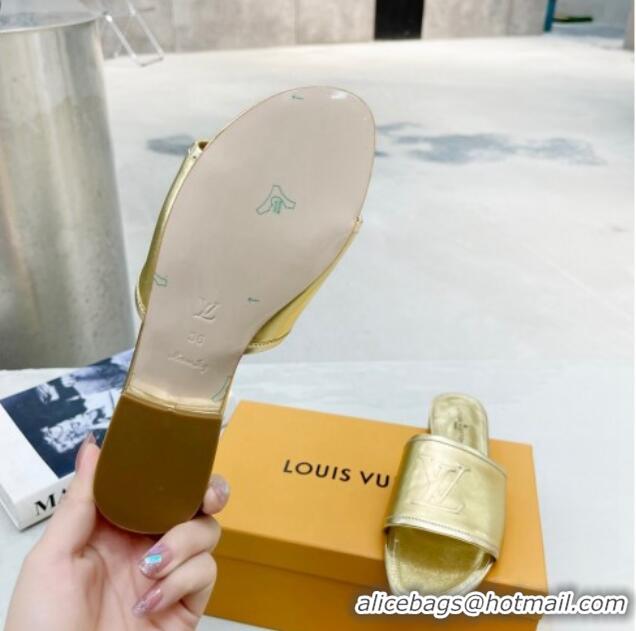 Most Popular Louis Vuitton Magnetic LV Flat Slide Sandals Gold 062016