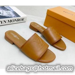 Sumptuous Louis Vuitton Magnetic LV Flat Slide Sandals Brown 062017