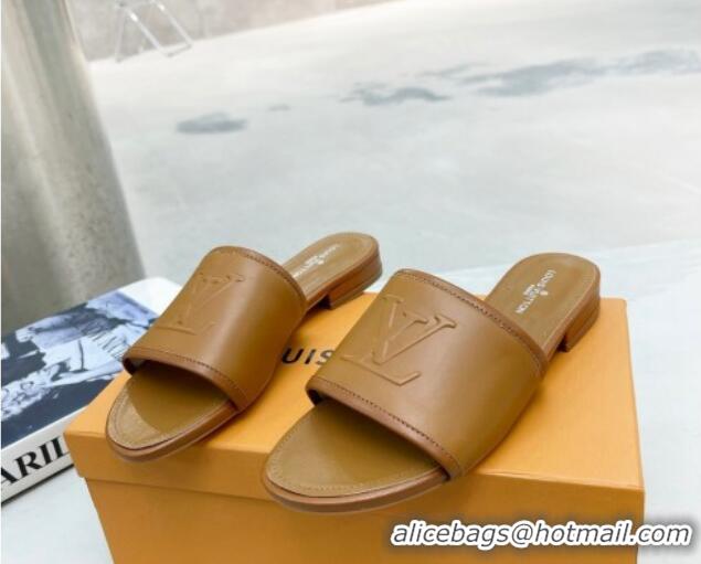 Sumptuous Louis Vuitton Magnetic LV Flat Slide Sandals Brown 062017