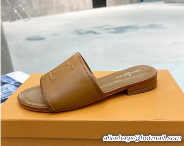 Sumptuous Louis Vuitton Magnetic LV Flat Slide Sandals Brown 062017