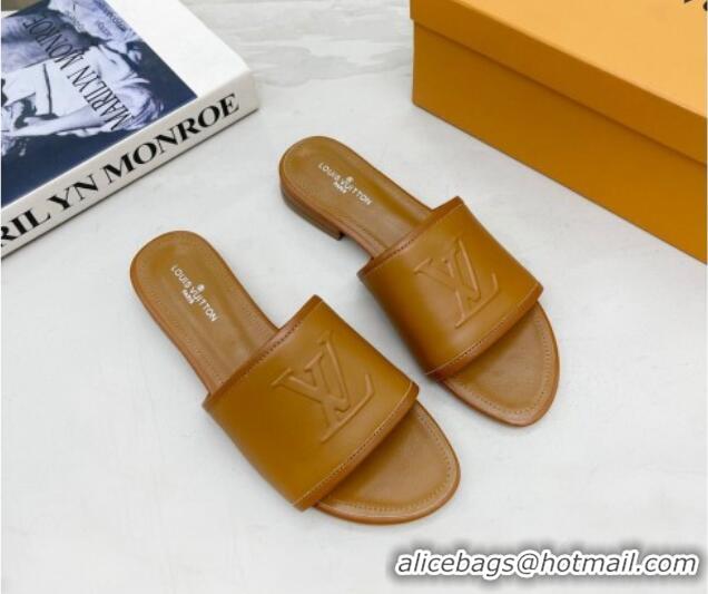 Sumptuous Louis Vuitton Magnetic LV Flat Slide Sandals Brown 062017