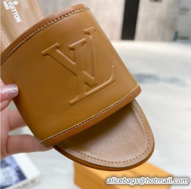 Sumptuous Louis Vuitton Magnetic LV Flat Slide Sandals Brown 062017