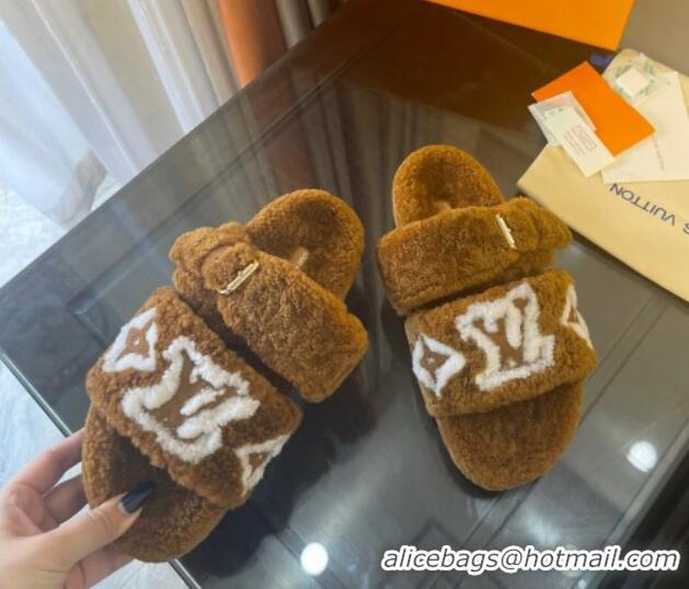 Duplicate Louis Vuitton Paseo Shearling Flat Slide Sandals Cognac Brown 071960