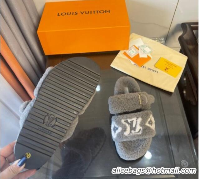 Good Product Louis Vuitton Paseo Shearling Flat Slide Sandals Grey 071962