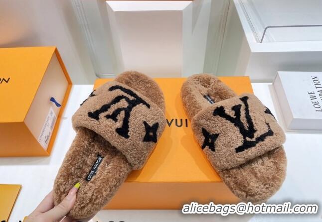 Purchase Louis Vuitton Shearling Flat Slide Sandals Brown/Black 071991