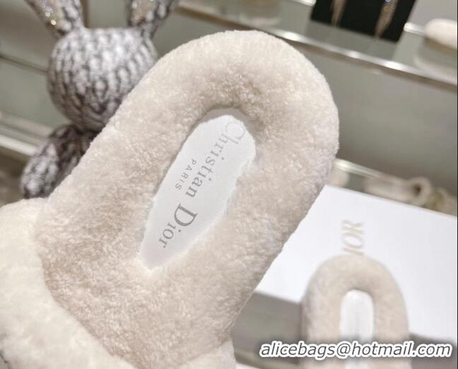 Hot Style Dior Dway Flat Slide Sandals in Embroidered Cotton and Shearling White/Light Blue 080946