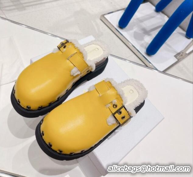 Popular Style Dior Diorquake Clog Mules in Yellow Calfskin and White Shearling 082535