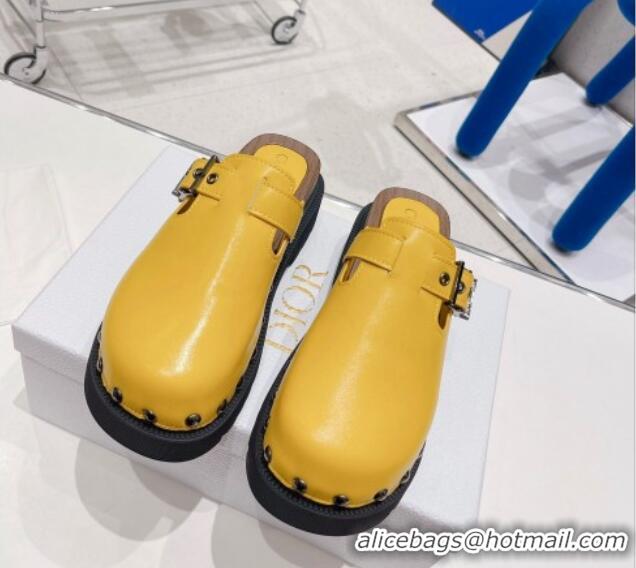 Luxurious Dior Diorquake Clog Mules in Yellow Calfskin 082538