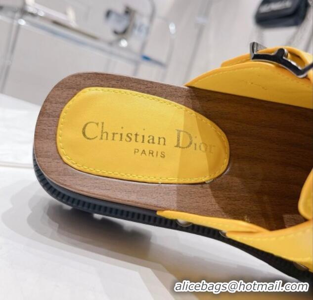 Luxurious Dior Diorquake Clog Mules in Yellow Calfskin 082538