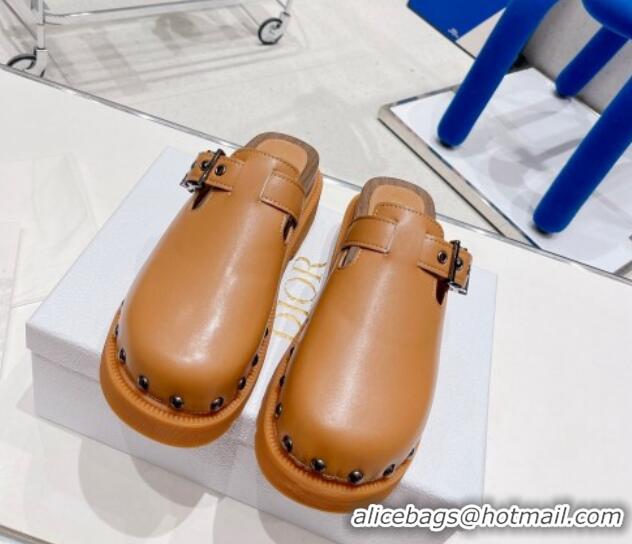 Perfect Dior Diorquake Clog Mules in Brown Calfskin 082539