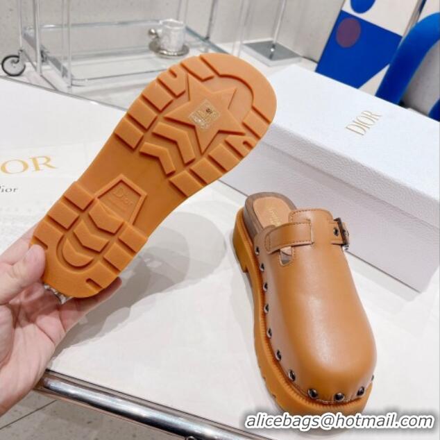 Perfect Dior Diorquake Clog Mules in Brown Calfskin 082539