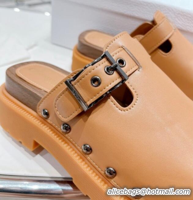 Perfect Dior Diorquake Clog Mules in Brown Calfskin 082539