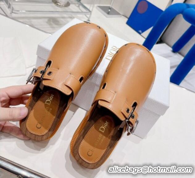 Perfect Dior Diorquake Clog Mules in Brown Calfskin 082539