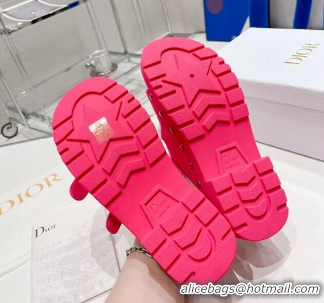 Good Looking Dior Diorquake Strap Slide Sandals in Pink Calfskin and White Shearling 082543