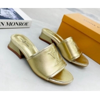 Top Design Louis Vuitton Magnetic LV Heel Slide Sandals 3.5cm Gold 062010