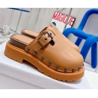 Perfect Dior Diorquake Clog Mules in Brown Calfskin 082539