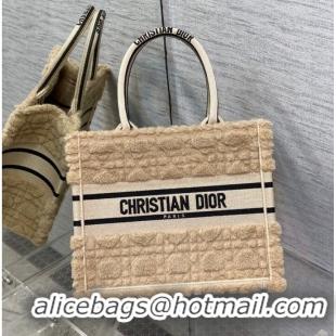 Famous Brand SMALL DIOR BOOK TOTE Embroidery C1331-10