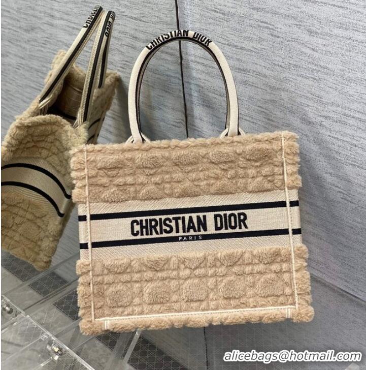 Famous Brand SMALL DIOR BOOK TOTE Embroidery C1331-10