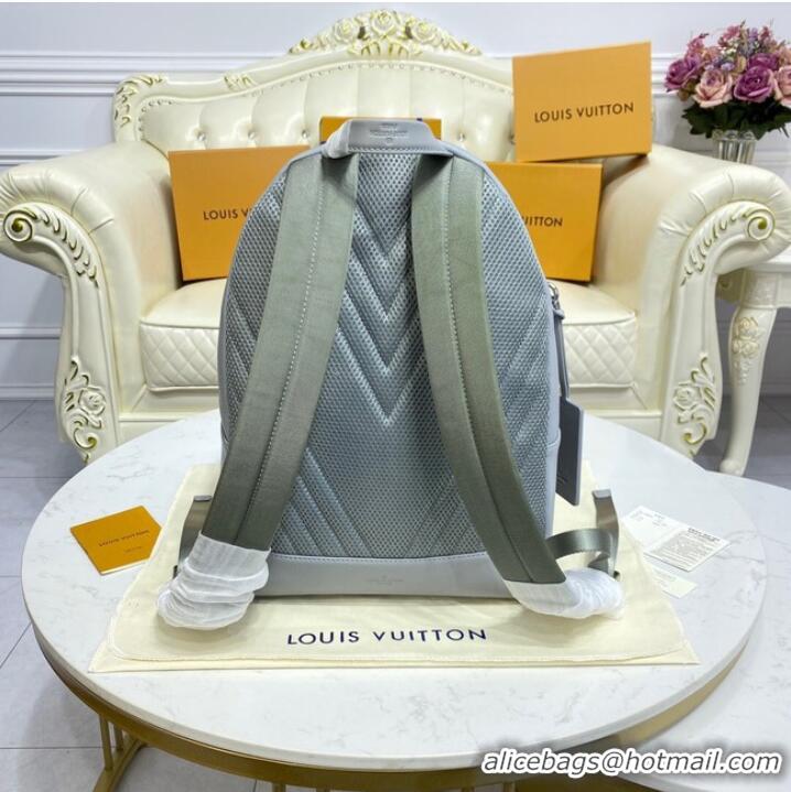 Unique Grade Louis Vuitton BACKPACK M57079 Glacier