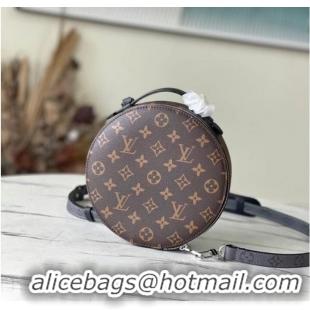 Luxury Classic Louis Vuitton AUDIO CASE M46273