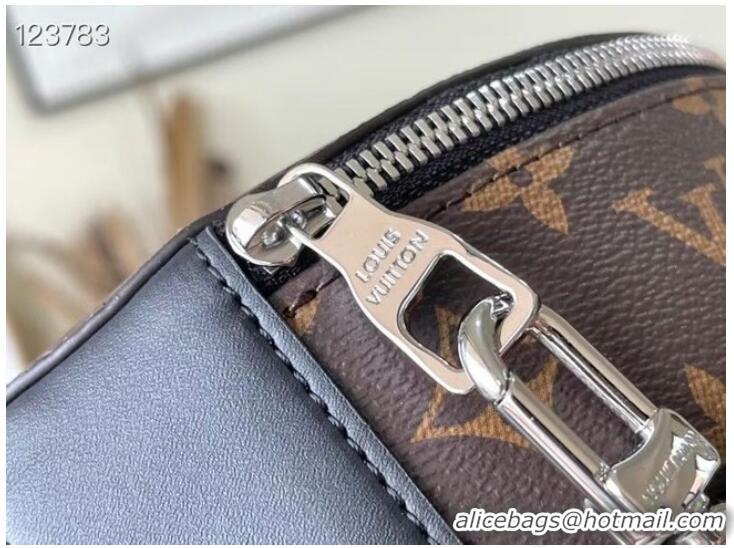 Luxury Classic Louis Vuitton AUDIO CASE M46273