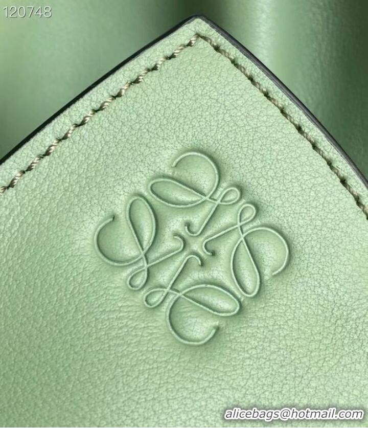 Trendy Design Loewe Lucky Bags Original Leather LE0539 green