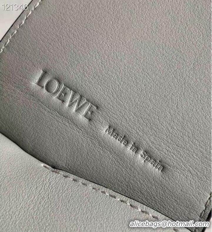 Promotional Loewe Original Leather Bag LE10188 light green