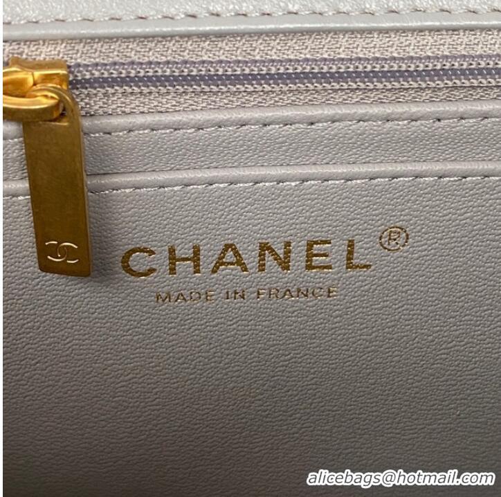 Top Design Chanel MINI FLAP BAG WITH TOP HANDLE AS2431 gray