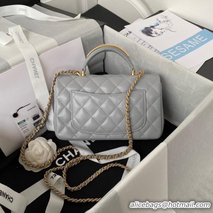 Top Design Chanel MINI FLAP BAG WITH TOP HANDLE AS2431 gray