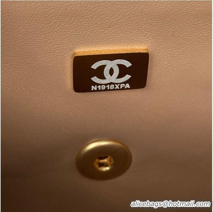 Well Crafted Chanel MINI FLAP BAG WITH TOP HANDLE AS2431 apricot