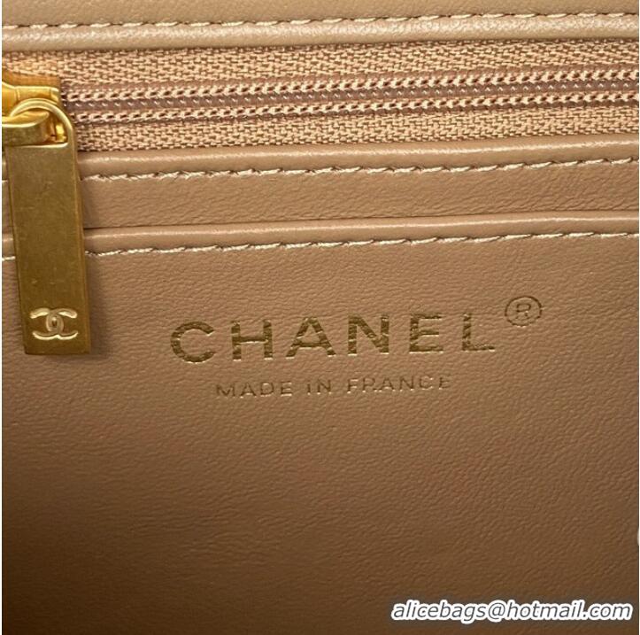 Well Crafted Chanel MINI FLAP BAG WITH TOP HANDLE AS2431 apricot