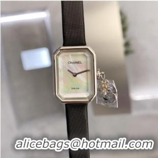 Famous Brand Chanel Watch CHW00008-1