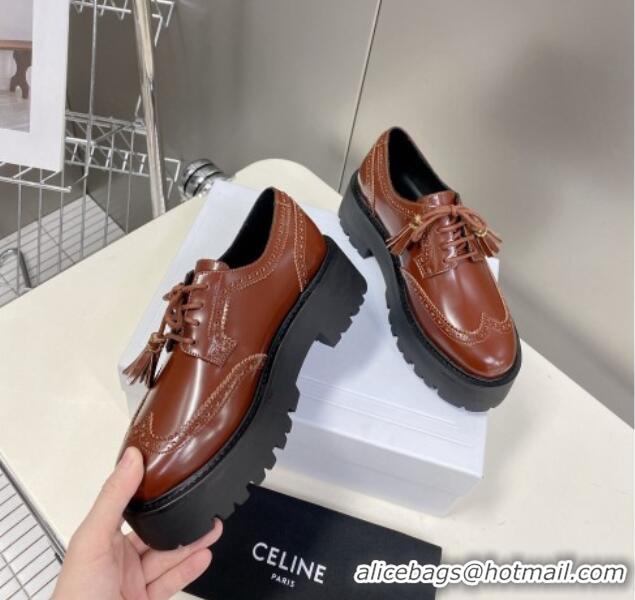 Perfect Celine Calfskin Leather Loafers 82502 Brown