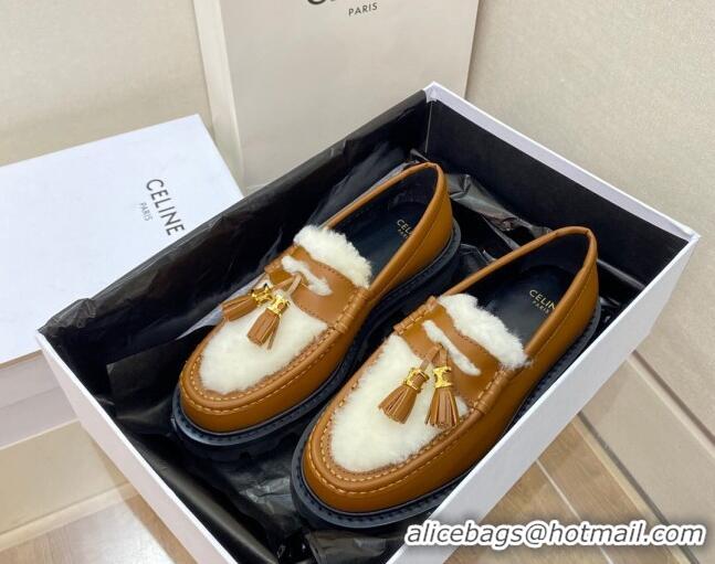 1:1 aaaaa Celine Leather and Shearling Loafers with Tassel Brown 100963 