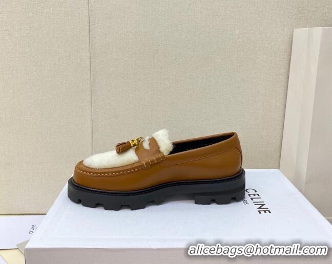 1:1 aaaaa Celine Leather and Shearling Loafers with Tassel Brown 100963 