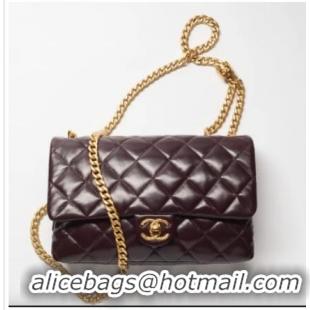 Promotional CHANEL FLAP BAG Lambskin & Gold-Tone Metal AS3609 Dark Brown