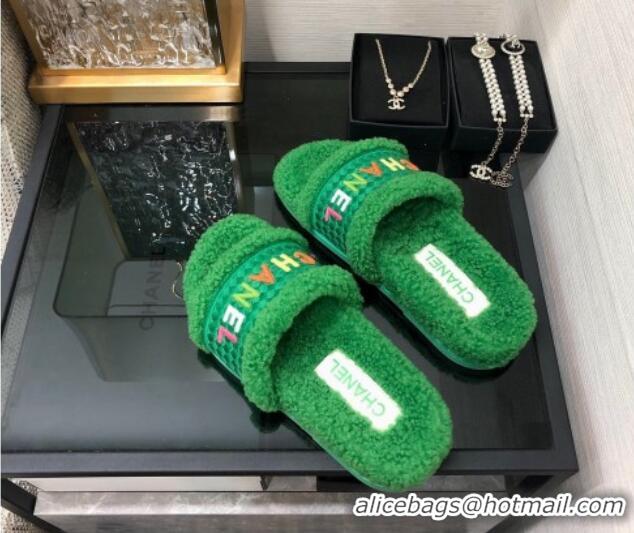 Stylish Chanel Shearling Flat Slide Sandals Green 082464