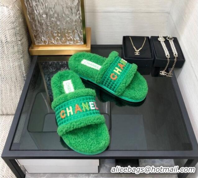 Stylish Chanel Shearling Flat Slide Sandals Green 082464