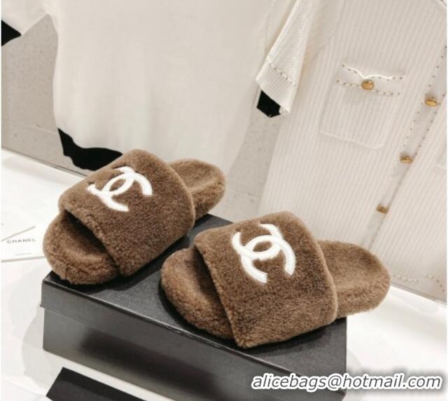 Low Price Chanel Shearling Flat Slide Sandals Brown 090722